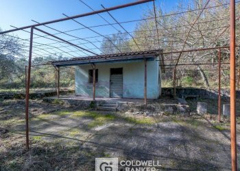 Foto 14 - Rustico via Serra Cerreta
 
2, Omignano - foto 14