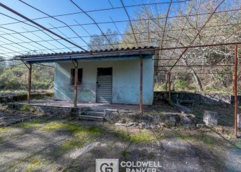 Foto 15 - Rustico via Serra Cerreta
 
2, Omignano - foto 15