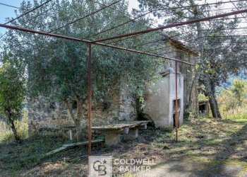 Foto 20 - Rustico via Serra Cerreta
 
2, Omignano - foto 20