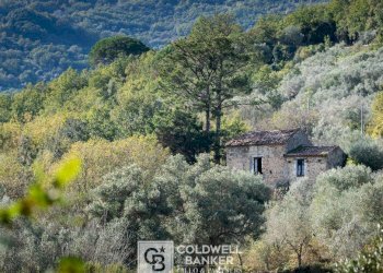 Foto 21 - Rustico via Serra Cerreta
 
2, Omignano - foto 21