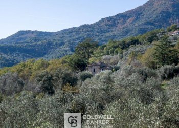 Foto 22 - Rustico via Serra Cerreta
 
2, Omignano - foto 22