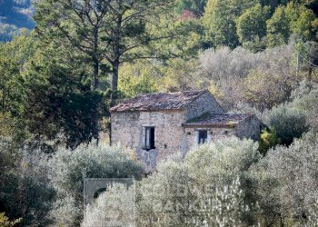 Foto 23 - Rustico via Serra Cerreta
 
2, Omignano - foto 23