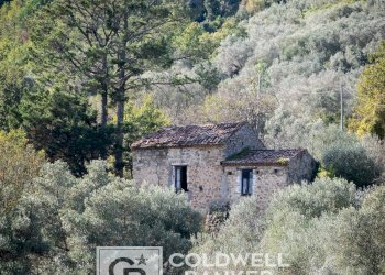 Foto 24 - Rustico via Serra Cerreta
 
2, Omignano - foto 24