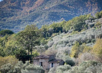 Foto 25 - Rustico via Serra Cerreta
 
2, Omignano - foto 25