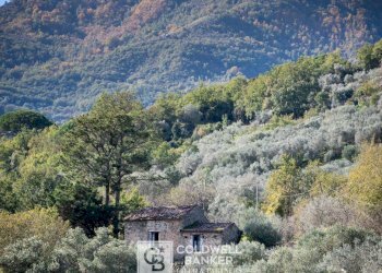 Foto 26 - Rustico via Serra Cerreta
 
2, Omignano - foto 26