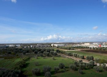 Foto 31 - Hotel Strada provinciale 109, San Giorgio Ionico - foto 31