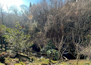 Non correlato - Villa Via Ponte Tresa
 
22, Cadegliano-Viconago - foto 41