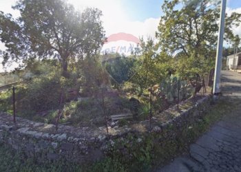 Giardino - Terreno edificabile Via Sciare Pennisi
snc, Acireale - foto 3