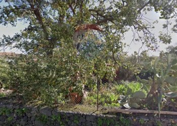 Giardino - Terreno edificabile Via Sciare Pennisi
snc, Acireale - foto 4