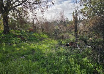 Giardino - Terreno edificabile Via Sciare Pennisi
snc, Acireale - foto 7