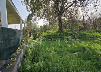 Giardino - Terreno edificabile Via Sciare Pennisi
snc, Acireale - foto 8