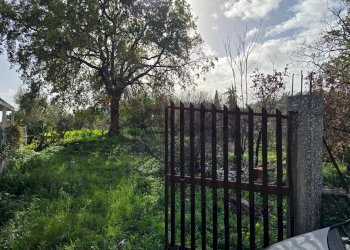 Giardino - Terreno edificabile Via Sciare Pennisi
snc, Acireale - foto 9