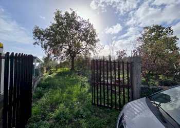 Giardino - Terreno edificabile Via Sciare Pennisi
snc, Acireale - foto 10