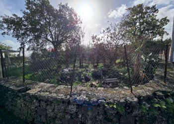 Giardino - Terreno edificabile Via Sciare Pennisi
snc, Acireale - foto 11