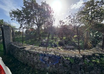 Giardino - Terreno edificabile Via Sciare Pennisi
snc, Acireale - foto 12