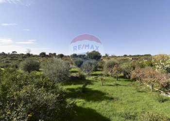 Giardino - Villa Via Croce Del Sud
 
2, Catania - foto 23