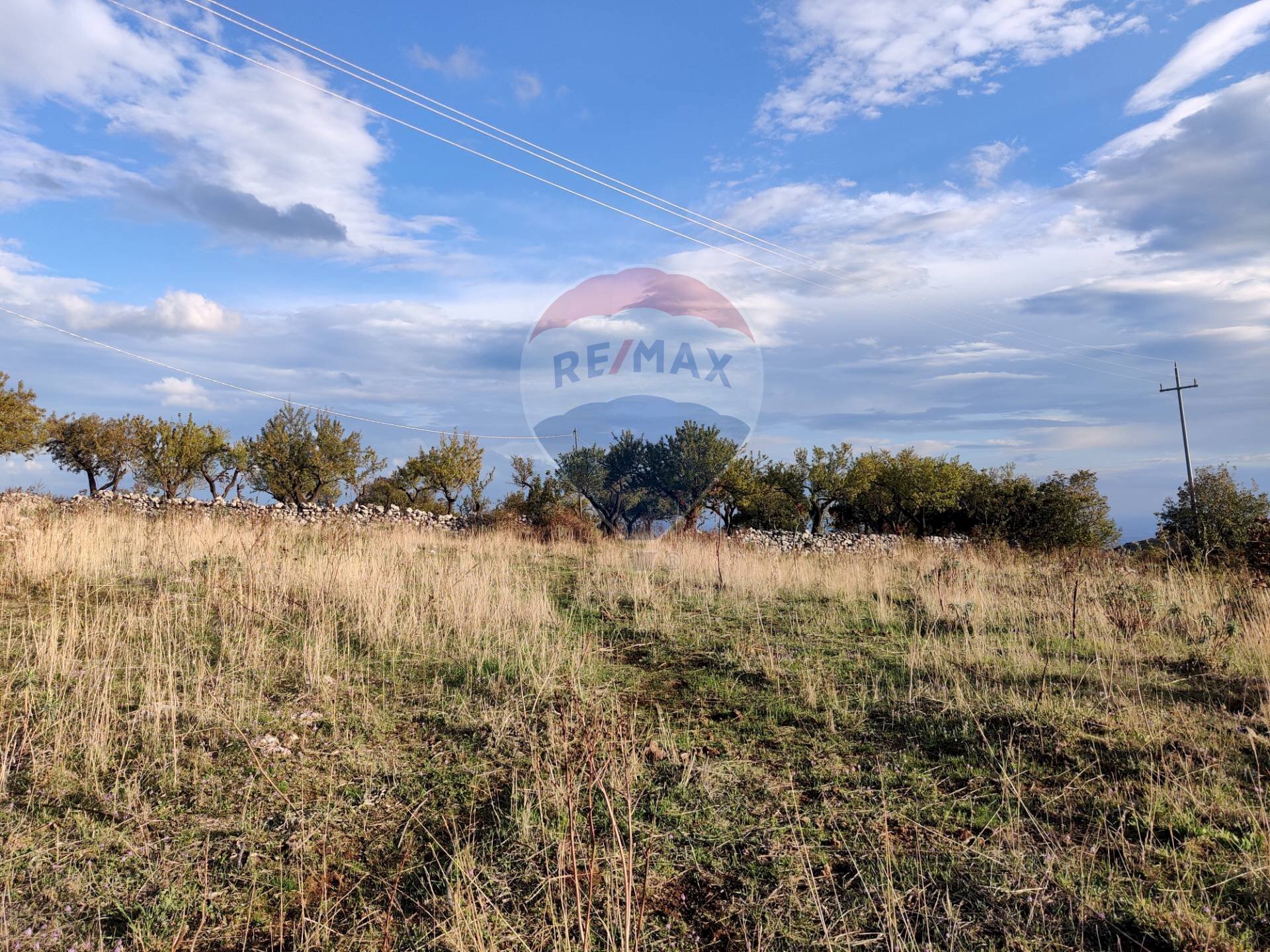 Vista delle montagne - Terreno agricolo Contrada San Salvatore
 
snc, Manfredonia - foto 1