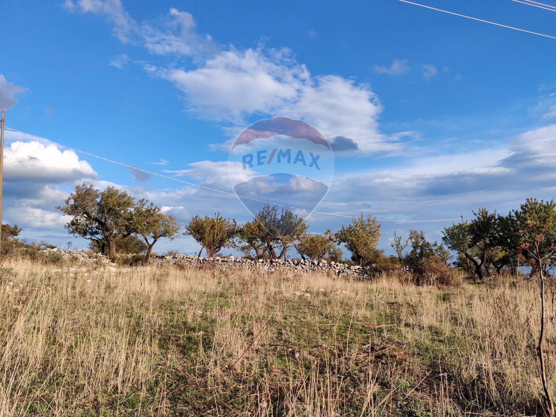 Vista delle montagne - Terreno agricolo Contrada San Salvatore
snc, Manfredonia - foto 3