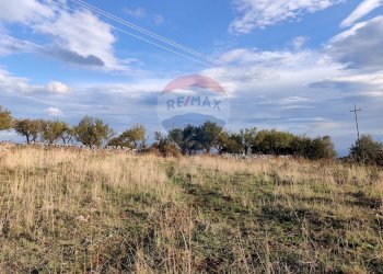 Vista delle montagne - Terreno agricolo Contrada San Salvatore
snc, Manfredonia - foto 1