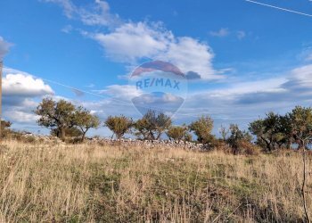 Vista delle montagne - Terreno agricolo Contrada San Salvatore
snc, Manfredonia - foto 3