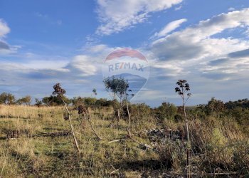 Vista delle montagne - Terreno agricolo Contrada San Salvatore
snc, Manfredonia - foto 8
