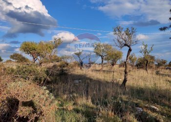 Vista delle montagne - Terreno agricolo Contrada San Salvatore
snc, Manfredonia - foto 9