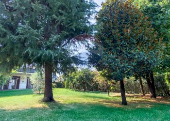 Giardino - Villa Via Dei Pini
 
13/B, Cerro al Lambro - foto 38