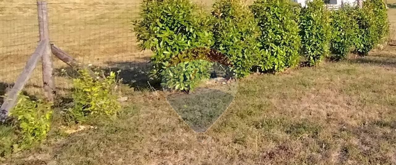 Giardino - Building land Mioglia - photo 2