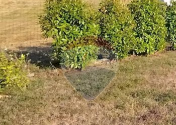 Giardino - Terreno edificabile Mioglia - foto 2