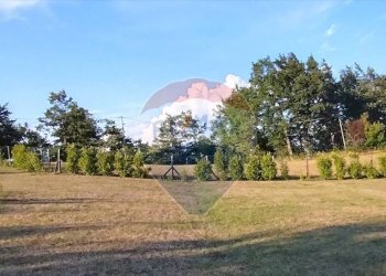 Giardino - Terreno edificabile Mioglia - foto 4