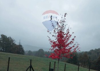 Giardino - Terreno edificabile Mioglia - foto 7