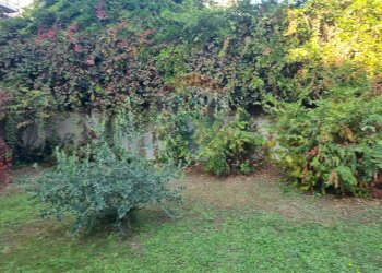 Giardino - Trilocale Via Bernardino da Feltre
 
15, Pavia - foto 17