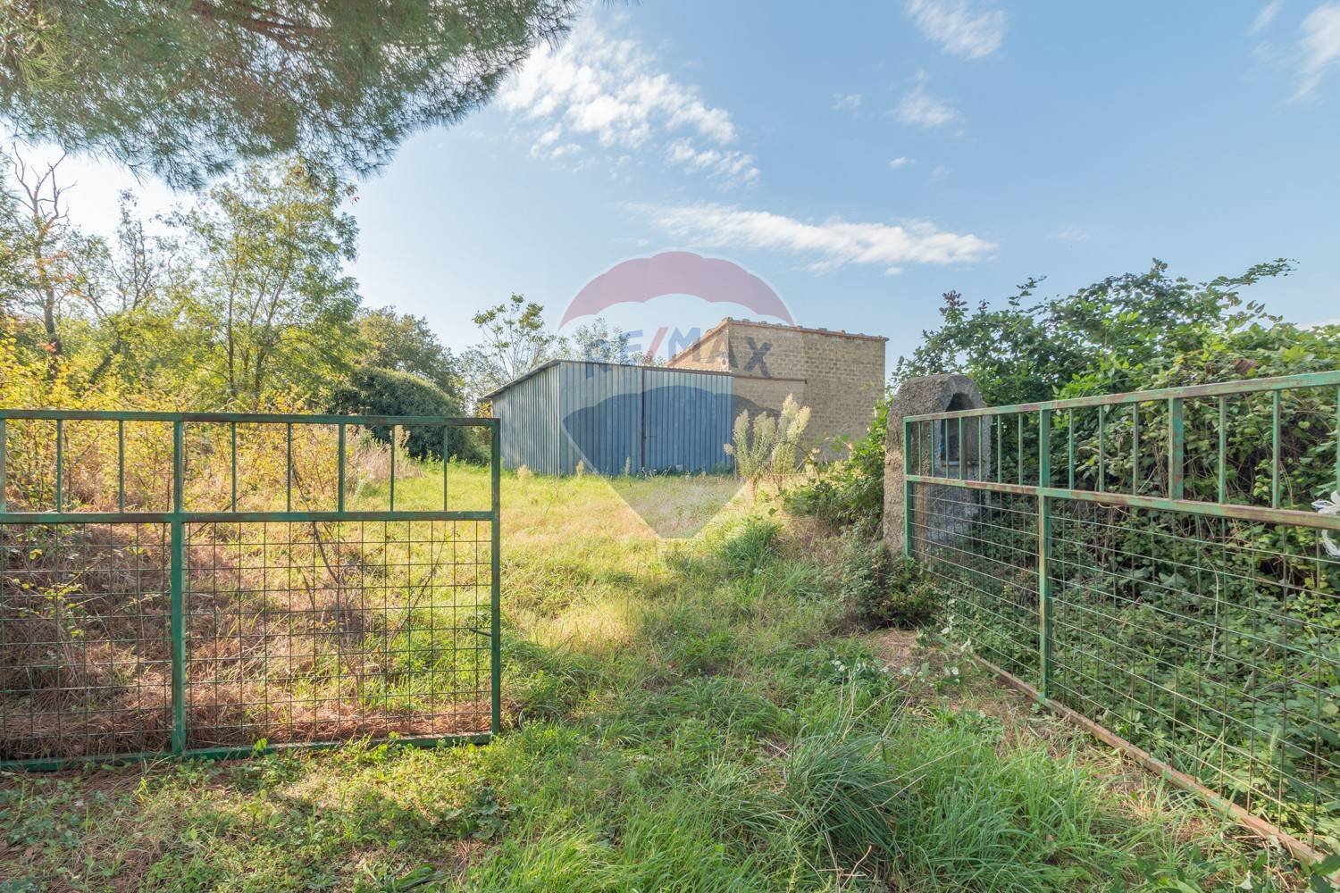 Ingresso terreno - Rustico Strada Provinciale 106
 
snc, Ischia di Castro - foto 3