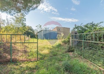 Ingresso terreno - Rustico Strada Provinciale 106
 
snc, Ischia di Castro - foto 3