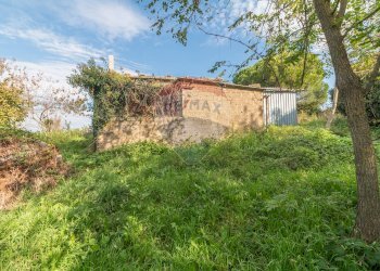 Casale e terreno - Rustico Strada Provinciale 106
 
snc, Ischia di Castro - foto 4