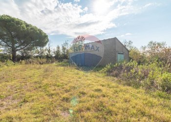 Terreno - Rustico Strada Provinciale 106
 
snc, Ischia di Castro - foto 5