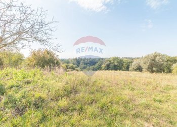 Terreno - Rustico Strada Provinciale 106
 
snc, Ischia di Castro - foto 6