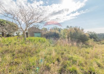 Terreno - Rustico Strada Provinciale 106
 
snc, Ischia di Castro - foto 7