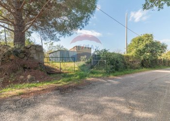 Strada Provinciale - Rustico Strada Provinciale 106
 
snc, Ischia di Castro - foto 8