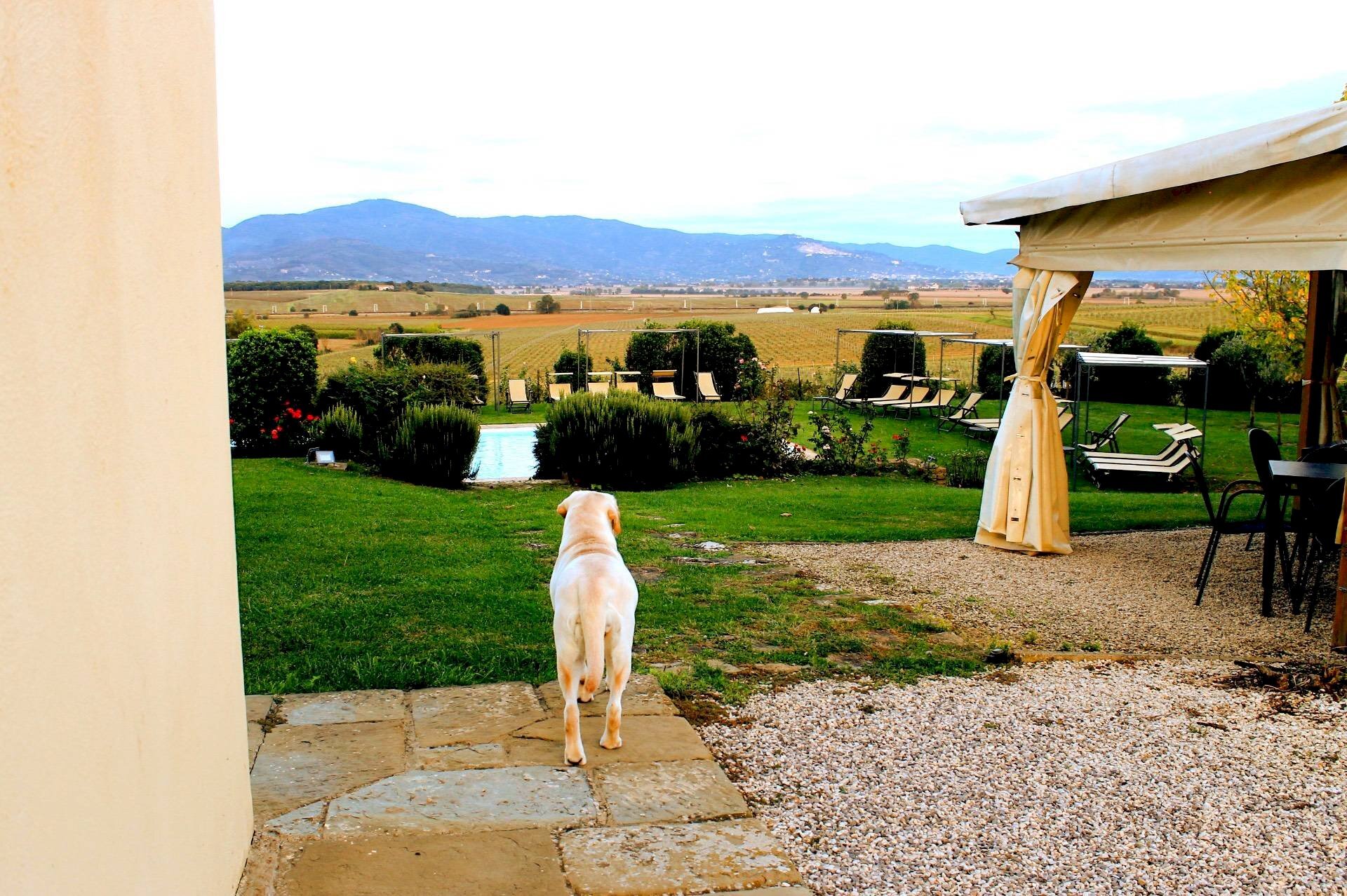 Foto 3 - Hotel via Locchi
31, Castiglion Fiorentino - foto 3