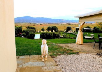 Foto 3 - Hotel via Locchi
 
31, Castiglion Fiorentino - photo 3