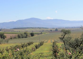 Foto 15 - Hotel via Locchi
 
31, Castiglion Fiorentino - photo 15