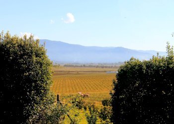 Foto 19 - Hotel via Locchi
 
31, Castiglion Fiorentino - photo 19