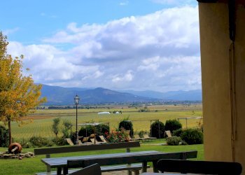 Foto 20 - Hotel via Locchi
 
31, Castiglion Fiorentino - photo 20