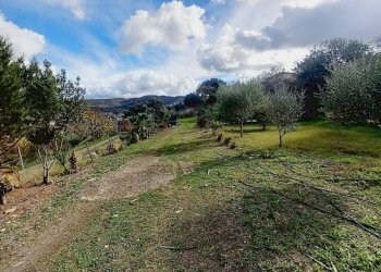 Foto 4 - Villa LOCALITA' BADDE E PIRA
 
SNC, Ozieri - foto 4