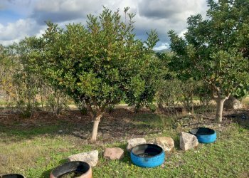 Foto 5 - Villa LOCALITA' BADDE E PIRA
 
SNC, Ozieri - foto 5