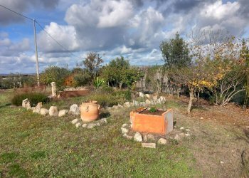 Foto 6 - Villa LOCALITA' BADDE E PIRA
 
SNC, Ozieri - foto 6