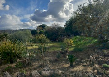 Foto 16 - Villa LOCALITA' BADDE E PIRA
 
SNC, Ozieri - foto 16