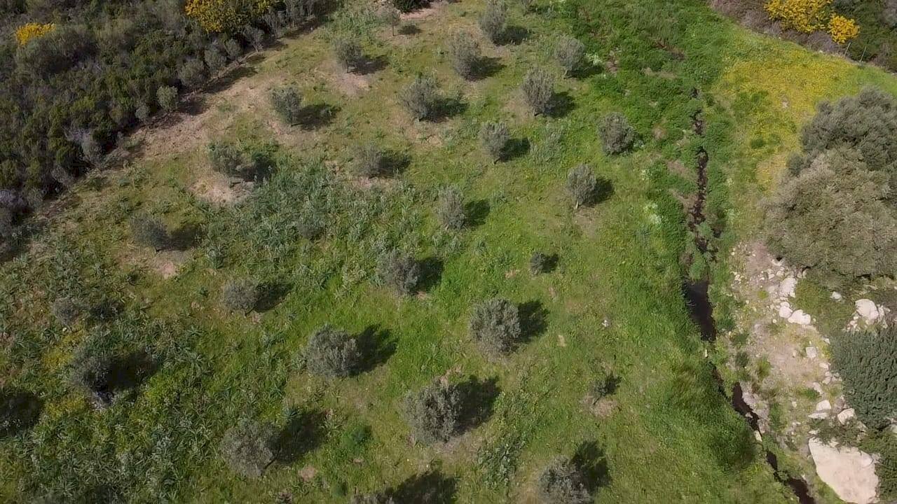 Foto 2 - Agricultural land sa curi
snc, Golfo Aranci - photo 2