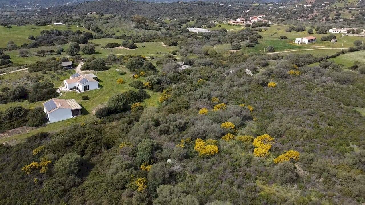 Foto 3 - Agricultural land sa curi
snc, Golfo Aranci - photo 3